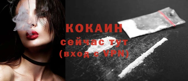 гидра Гусиноозёрск