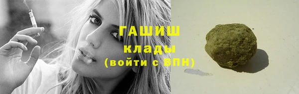 гидра Гусиноозёрск