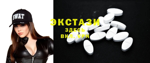 гидра Гусиноозёрск