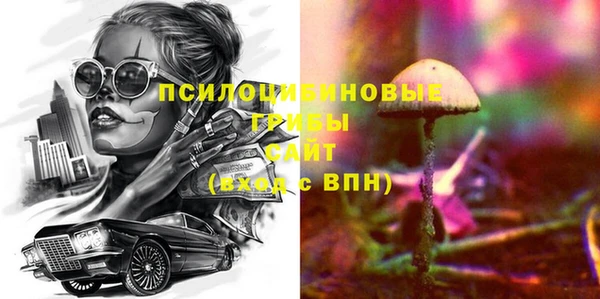 гидра Гусиноозёрск