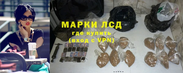 гидра Гусиноозёрск