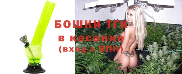 гидра Гусиноозёрск