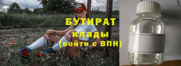гидра Гусиноозёрск